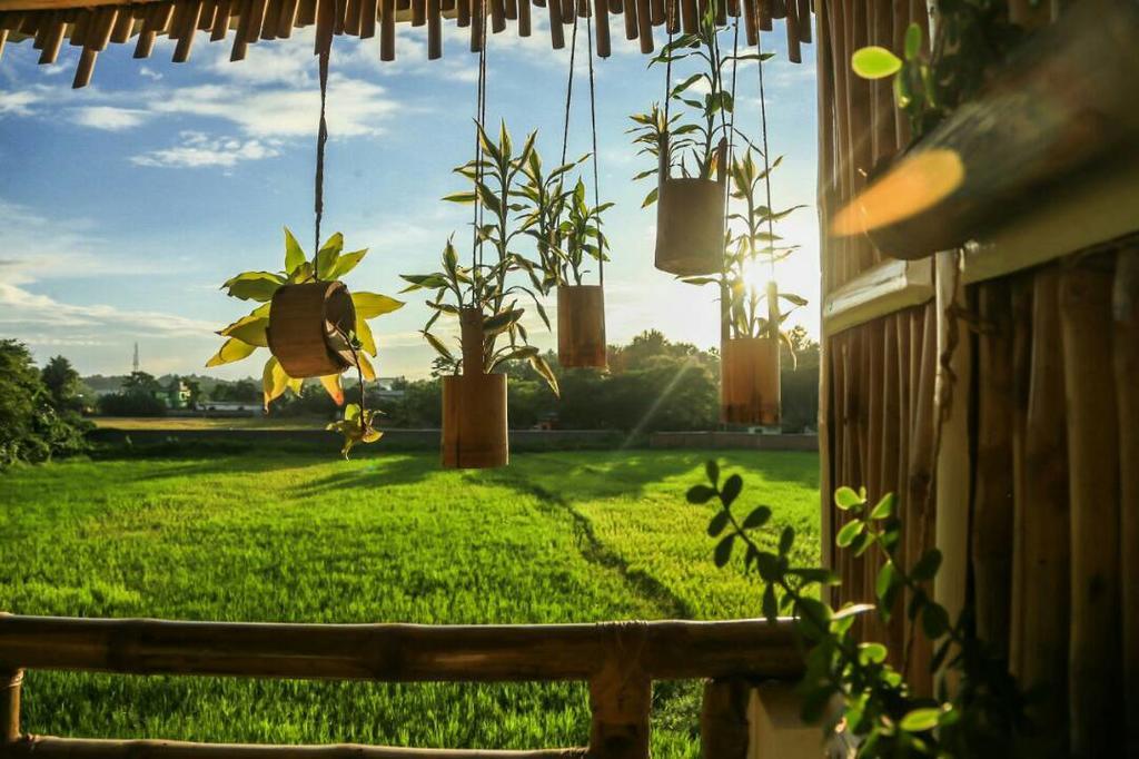 Longchen Homestay Dimāpur Kültér fotó