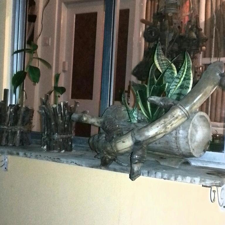 Longchen Homestay Dimāpur Kültér fotó
