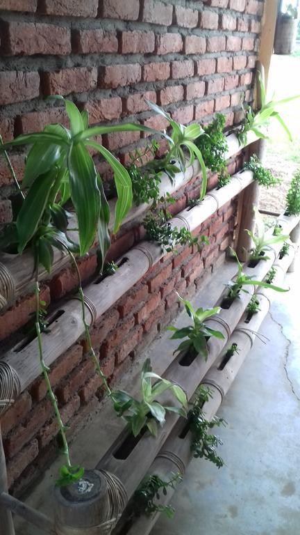 Longchen Homestay Dimāpur Kültér fotó